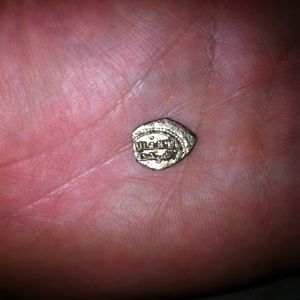 Fracción de dinar, al-Ma'mun, taifa de Toledo 429422463