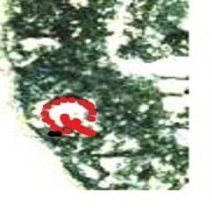 as de cástulo - Página 2 875130891